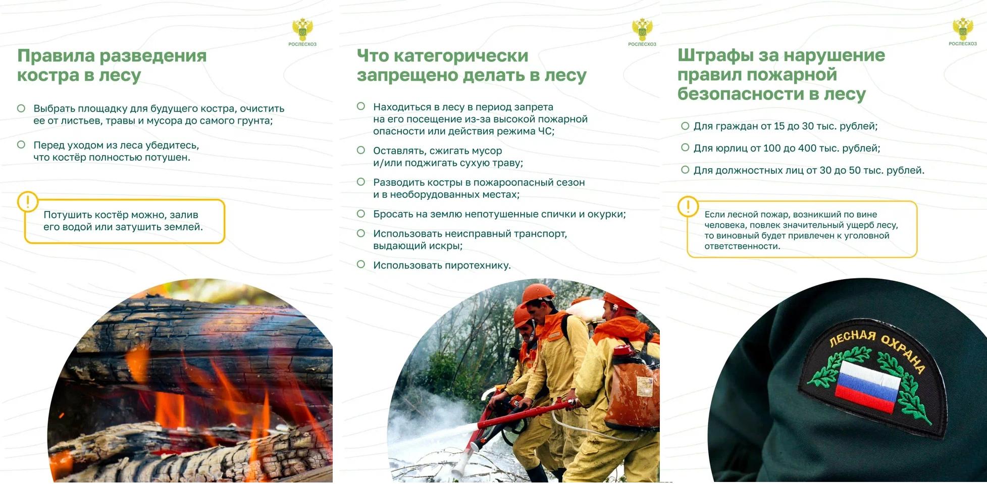 карточки_насайт2.jpg