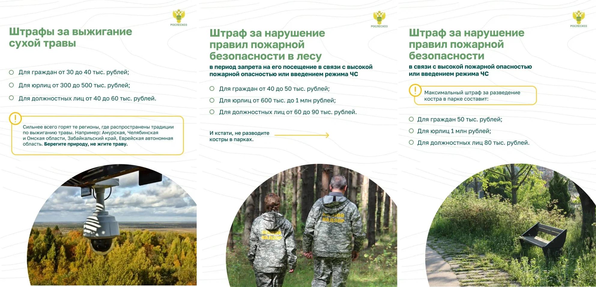 карточки_на_сайт3.jpg